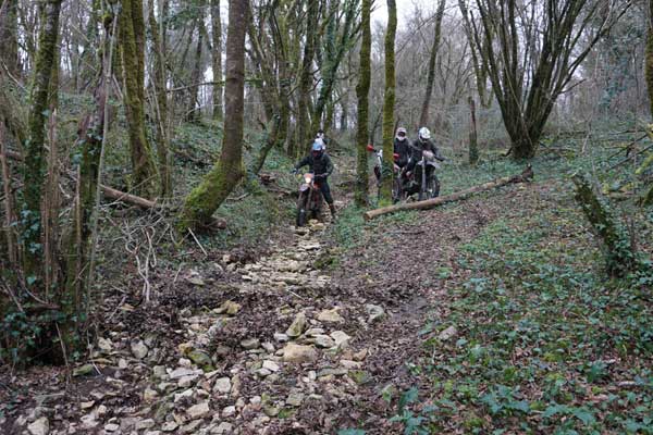 Sortie Enduro avec moniteur pour améliorer sa technique de pilotage enduro